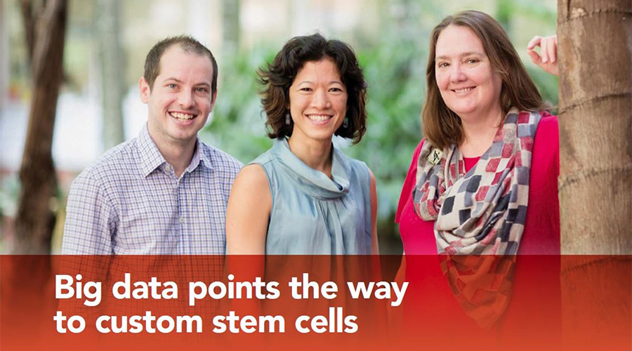 sca stories Big data